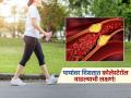 पायी चालताना दिसतात कोलेस्टेरॉल वाढल्याचे हे संकेत, दुर्लक्ष करणं पडू शकतं महागात! - Marathi News | High cholesterol symptoms while walking you should know | Latest sakhi News at Lokmat.com