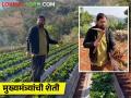 मुख्यमंत्र्यांच्या शेतीत कोणकोणती पिके? कशी केली जाते शेती - Marathi News | Which crops are in the Chief Minister's farm? How is farming done? | Latest agriculture News at Lokmat.com