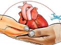 मृत्यूनंतरही त्याने वाचवले चौघांचे प्राण! - Marathi News | The heart went from Nagpur to Mumbai | Latest nagpur News at Lokmat.com