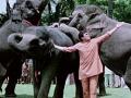 ​झाली ‘हाथी मेरे साथी’च्या रिमेकची घोषणा! ‘हा’ कलाकार साकारणार राजेश खन्नांची भूमिका!! - Marathi News | 'Hathi My Partner' remake announced! Rajesh Khanna's role to make 'this' artist !! | Latest filmy News at Lokmat.com