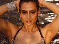 अमिषा पटेलच्या हॉट बिकिनी फोटोशूटवर ट्रोलर्सचा हल्लाबोल! - Marathi News | Amisha Patel's hot bikini photoshoota trollers attacked! | Latest filmy News at Lokmat.com