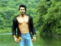 किंगखानचा स्टाईल राज मराठमोळी - Marathi News | King Khan style raj Marathmoli | Latest fashion News at Lokmat.com