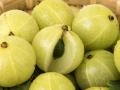आवळा आहे गुणकारी...! - Marathi News | It is interesting ...! | Latest health News at Lokmat.com