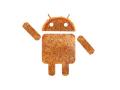 ​अँड्रॉईच्या नव्या व्हर्जनचे नाव ‘नेयप्पम’? - Marathi News | The name of the new version of Android is 'Neiappam'? | Latest fashion News at Lokmat.com