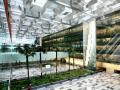 जगातील सर्वोत्कृष्ट विमानतळे - Marathi News | Best Airports in the World | Latest fashion News at Lokmat.com