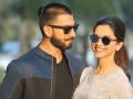 ​रणवीर-दीपिकाच्या नात्यात शाहिद का बनतोय ‘हड्डी’! - Marathi News | Ranveer-Shahid's 'bone' in connection with Deepika | Latest filmy News at Lokmat.com