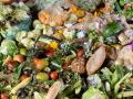 फरशीवर पडलेले पदार्थ खाऊ नकाअसा एक गैरसमज... - Marathi News | A misunderstanding ... do not eat food lying on the floor. | Latest beauty News at Lokmat.com