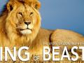 सिंहाच्या शिकारीवर ‘दाहक’ डॉक्युमेंटरी - Marathi News | The 'inflammatory' documentary on the lion's hunter | Latest fashion News at Lokmat.com