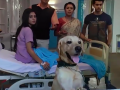 एक दीवाना था या मालिकेची टीम पडली या सदस्याच्या प्रेमात - Marathi News | There was a crazy team that fell in love with a member of this series | Latest filmy News at Lokmat.com