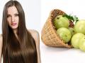 ​Beauty : निरोगी केसांसाठी घरगुती आवळा हेअर मास्क ! - Marathi News | Beauty: Healthy Hair Household Household Mask! | Latest beauty News at Lokmat.com