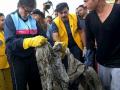महानायक अमिताभ बच्चन यांनी मुंबईकरांना दिली शिकवण; वर्सोवा बीचवर अर्धा तास केली स्वच्छता ! - Marathi News | Amitabh Bachchan's teachings to Mumbaiites; Half an hour of cleanliness in Versova Beach! | Latest filmy News at Lokmat.com