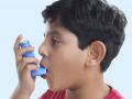 ​दम्यावर ‘सॉल्ट रुम थेरपी’ची ईलाज - Marathi News | Treatment of 'Salt Room Therapy' on Asthma | Latest beauty News at Lokmat.com