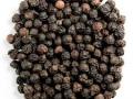 आरोग्यवर्धक काळे मिरे - Marathi News | Healthy black pepper | Latest beauty News at Lokmat.com