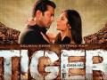 Tiger Zinda Hai Movie Review : ​पुन्हा एकदा सलमान! - Marathi News | Tiger Zinda Hai Movie Review: Salman again! | Latest filmy News at Lokmat.com