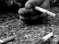 ​नशेमुळे कमी होते चुक-बरोबर कळण्याची क्षमता - Marathi News | Due to addiction, the ability to know accurately is less | Latest beauty News at Lokmat.com