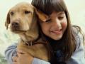 ​कुत्र्यांना नाही आवडत तुमचे अतिप्रेम! - Marathi News | Dogs do not like you over love! | Latest fashion News at Lokmat.com