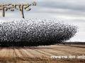 'कस्पाट’ मधून शेतक-यांच्या प्रश्नांवर नजर - Marathi News | Look at the questions of farmers from 'Kaspat' | Latest filmy News at Lokmat.com