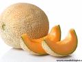 खरबूजाच्या सेवनाने त्वचा होते सुंदर - Marathi News | The skin of the melon consumed was beautiful | Latest beauty News at Lokmat.com