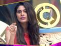 बिग बॉस : कॅप्टन बनताच लोपाने दिला यांना दंड - Marathi News | Bigg Boss: Lopa gets bail as Captain gets suspended | Latest filmy News at Lokmat.com