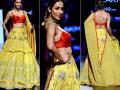 बॅकलेस ब्लाऊजमध्ये पहा मलाईका अरोराचा स्टनिंग लूक - Marathi News | See the Stunning Look of Malaika Arora in the Backside Blouses | Latest filmy News at Lokmat.com