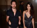 ​ टायगर श्रॉफ व दिशा पटनीच्या ‘लव्ह लाईफ’मध्ये ‘बागी2’चे वादळ? - Marathi News | Tiger Shroff and Direction Patni's 'Love Life' in 'Baghi2' storm? | Latest filmy News at Lokmat.com
