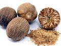 जायफळ आहे गुणकारी ! - Marathi News | Nutmeg is curative! | Latest health News at Lokmat.com