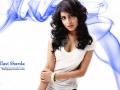 ​पल्लवी शारदा आता हॉलिवूडमध्ये - Marathi News | Pallavi Sharda is now in Hollywood | Latest fashion News at Lokmat.com