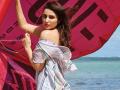 नव्या फिगरवर परिणीता खुश - Marathi News | Parineeta happy with the new figure | Latest filmy News at Lokmat.com