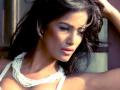 ​पूनम पांडे इन हॉरर मुव्ही! - Marathi News | Poonam Pandey in horror movie! | Latest filmy News at Lokmat.com