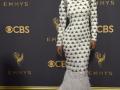 Emmy 2017 : रेड कार्पेटवर अशी झाली हॉलिवूड-बॉलिवूडच्या सेलिब्रिटींची एन्ट्री! - Marathi News | Emmy 2017: Hollywood-Bollywood celebrity entry on Red Carpet! | Latest filmy News at Lokmat.com