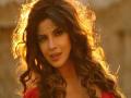 प्रियंका चोप्राने जाग्या केल्या आजीच्या आठवणी - Marathi News | Priyanka Chopra awakened her grandmother | Latest filmy News at Lokmat.com