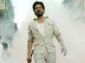 रईसची विघ्ने संपेनात! शाहरुख संकटात - Marathi News | Raishee's wrestling ends! Shahrukh in trouble | Latest filmy News at Lokmat.com
