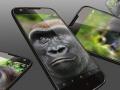 ​काय आहे गोरिल्ला ग्लास ! - Marathi News | What is Gorilla Glass! | Latest fashion News at Lokmat.com