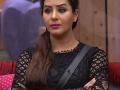 Bigg Boss11:बंदगीनंतर घराबाहेर पडणार शिल्पा शिंदे, हे आहे कारण - Marathi News | Bigg Boss11: Shilpa Shinde, who is going out of the house after the bandh, is the reason | Latest filmy News at Lokmat.com