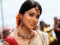 श्रिया सरन मार्चमध्ये या शहरात करणार डेस्टिनेशन वेंडिग - Marathi News | Shriya Saran will do the Destination Vending in this city in March | Latest filmy News at Lokmat.com