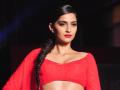 ​या अभिनेत्रीला वाटते सोनम कपूरचे लग्न व्हावे तिच्या भावासोबत - Marathi News | This actress feels Sonam Kapoor should be married to her brother | Latest filmy News at Lokmat.com