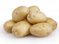 ​केवळ बटाटे खाऊन 32 किलो वजन घटवले - Marathi News | Just eat potatoes and weigh 32 kg | Latest beauty News at Lokmat.com