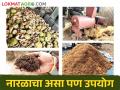 रिकाम्या पाण्याच्या नारळापासून ही महापालिका बनवतेय शेती उपयोगी उत्पादने - Marathi News | This Mahapalika is making agricultural useful products from empty water coconuts | Latest agriculture News at Lokmat.com