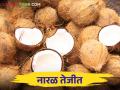Coconut Market : श्रावणात नारळाची मागणी वाढली आंध्र-तामिळनाडूतून येतोय नारळ कसा मिळतोय दर - Marathi News | Coconut Market : Demand for coconut increased in Shravan, coconuts are coming from Andhra-Tamil Nadu, how is the rate going? | Latest agriculture News at Lokmat.com