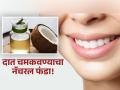 दात होतील चमकदार, दुर्गंधी होईल दूर; खोबऱ्याच्या तेलाचा फक्त 'या' दोन पद्धतीने करा वापर! - Marathi News | How to use coconut oil for cleaning teeth? | Latest sakhi News at Lokmat.com