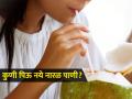 नारळाचं पाणी म्हणजे तब्येतीसाठी वरदान, पण ‘या’ कारणांनी तुम्हाला नारळपाणीही बाधू शकतं, होतो त्रास - Marathi News | Who should not drink coconut water coconut water side effects | Latest sakhi News at Lokmat.com