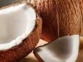 नारळ आरोग्यासाठी फारच पौष्टिक , मात्र या चुकांमुळे ठरते त्रासदायक, नारळ खाताना टाळा या चुका कारण ... - Marathi News | Coconut is very nutritious for health, but these mistakes can make it troublesome. Avoid these mistakes while eating coconut | Latest sakhi News at Lokmat.com