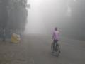 सांगलीत पसरली दाट धुक्याची चादर, लहरी हवामानामुळे नागरिक हैराण - Marathi News | Dense fog spread in Sangli, citizens are shocked due to stormy weather | Latest sangli News at Lokmat.com