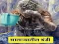 थंडीला घाबरुन 'त्या' बहाद्दराने कॅरीबॅग घालून केली अंघोळ!, नेटकऱ्यांकडून विनोदी कमेंट्सची बरसात - Marathi News | Fearing the cold that brave man took a bath wearing a carry bag video goes viral | Latest social-viral News at Lokmat.com