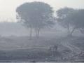 थंडीचा कडाका वाढला; यंदा प्रथमच औरंगाबाद @ ९.५ अंश - Marathi News | The cold snap intensified; For the first time this year, Aurangabad @ 9.5 degrees | Latest chhatrapati-sambhajinagar News at Lokmat.com