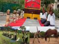 Video : फक्त माणसांनी नव्हे तर प्राण्यांनीही केला योगा  - Marathi News | Army Dog Unit performs Yoga, along with security forces across the country | Latest national News at Lokmat.com