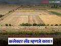 Collector Land : कलेक्टर लँड म्हणजे काय, ही जमीन विकत घेताना काय काळजी घ्यावी? - Marathi News | Latest News What is collector land, what should be taken care of while buying this land? | Latest agriculture News at Lokmat.com