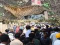Leopard in Kolhapur: भेदरलेल्या पालकांचा मुलांना फोन... कुठं हाईस तू? - Marathi News | College students in Kolhapur are literally terrified after leopards arrive | Latest kolhapur News at Lokmat.com