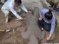 कंबोडियातील अंगकोरवट येथे सापडले प्राचीन मुर्तीचे अवशेष - Marathi News | Ancient statues found in Angkoraw in Cambodia | Latest international Photos at Lokmat.com