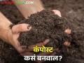 खड्डा पद्धतीने घरच्या घरी कंपोस्ट खत कसं बनवायचं - Marathi News | How to make compost at home level using pit method | Latest agriculture News at Lokmat.com
